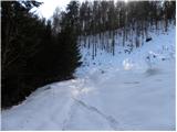 Šenturh / St. Ulrich - Razgledišče Petelinc / Aussicht Petelinz